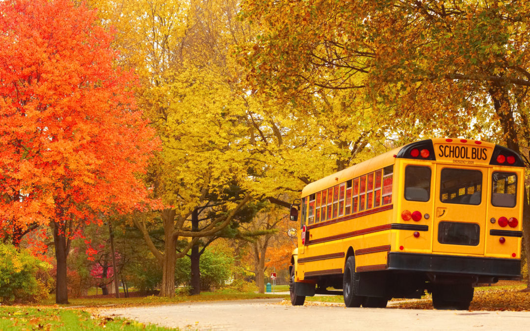 A school bus driving kids back to school in the fall on a beautiful autumn road.
