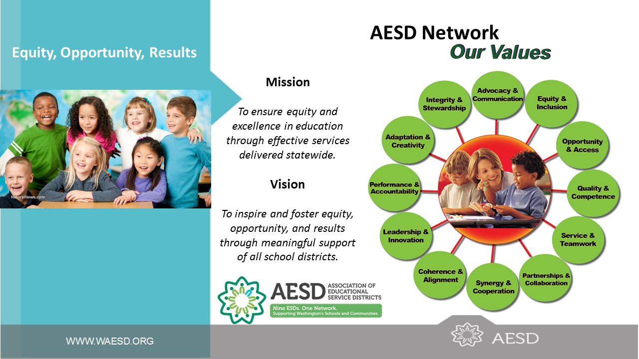 AESD Network Strategic Plan